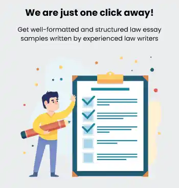 Law essay sample