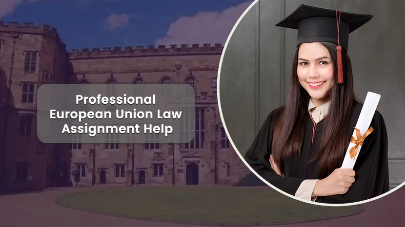 European Union Law Assignment